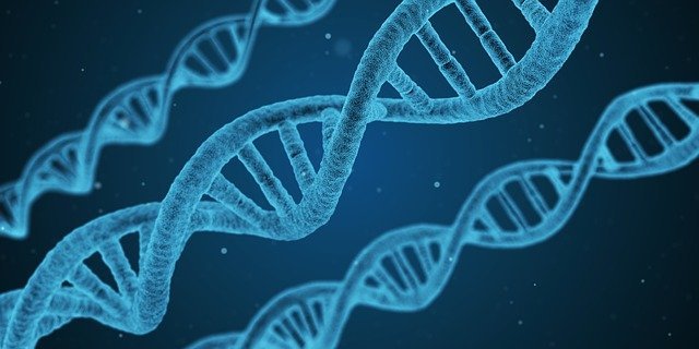 বিবর্তন (Evolution)